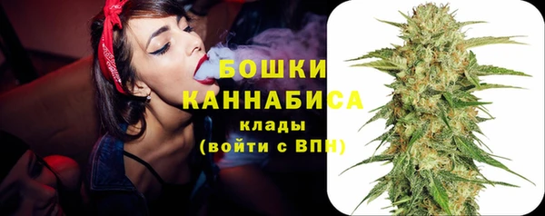 сатива Белокуриха