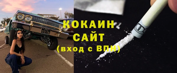 сатива Белокуриха
