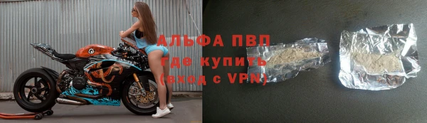 сатива Белокуриха