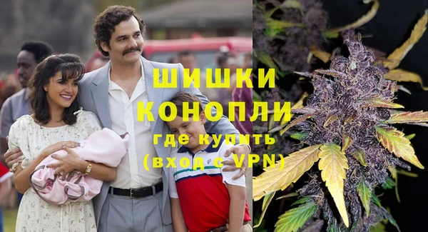 хмурый Богородск