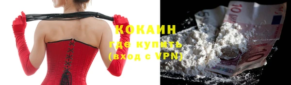 сатива Белокуриха