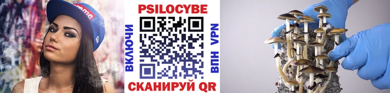 Галлюциногенные грибы Psilocybe  купить наркотик  Бронницы 